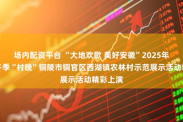 场内配资平台 “大地欢歌 美好安徽”2025年度全国冬季“村晚”铜陵市铜官区西湖镇农林村示范展示活动精彩上演