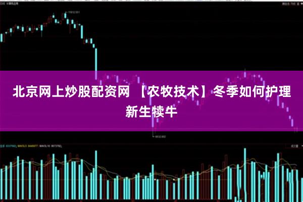 北京网上炒股配资网 【农牧技术】冬季如何护理新生犊牛