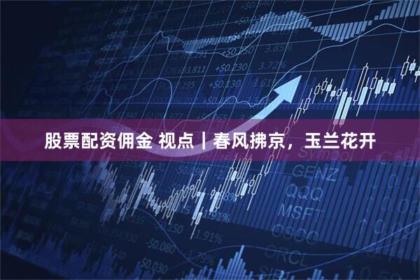 股票配资佣金 视点｜春风拂京，玉兰花开