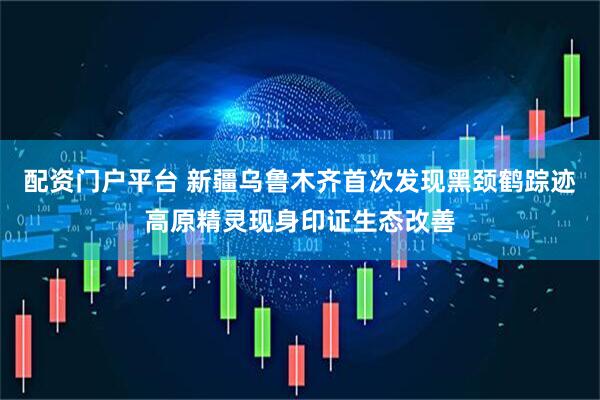 配资门户平台 新疆乌鲁木齐首次发现黑颈鹤踪迹高原精灵现身印证生态改善