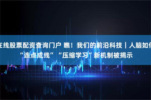在线股票配资查询门户 瞧！我们的前沿科技｜人脑如何“连点成线” “压缩学习”新机制被揭示
